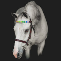 Boy O Boy Bridleworks Proud Polo Finish Browband