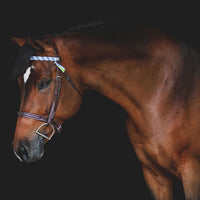 Boy O Boy Bridleworks Ready-to-Ship Haymarket Satin Traditional Finish Browband Horse