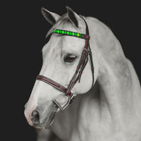 Boy O Boy Bridleworks Ready-to-Ship Old Favorites Grosgrain Polo Finish Browband Horse