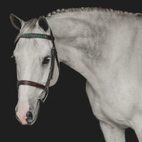 Boy O Boy Bridleworks Custom Grosgrain Polo Finish Browband