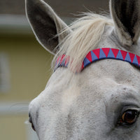 Custom V-Shaped Browband
