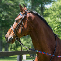 Boy O Boy Bridleworks Custom Show Lead