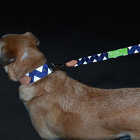 Boy O Boy Bridleworks REFLECTIVE Ready-to Ship Dog Leash and Collar