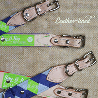 REFLECTIVE Ready-to Ship Dog Collar with Buckle Closure