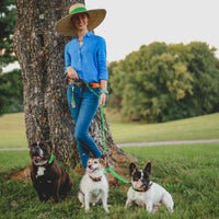 Boy O Boy Bridleworks Ready to Ship Warrenton Tone-on-Tone Satin and Grosgrain Stirrup Buckle Belt dog collar coupling leash