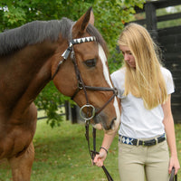 Boy O Boy Bridleworks Straight Traditional Finish Browband with Coordinating Stirrup Buckle Belt