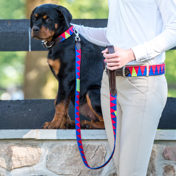Boy O Boy Bridleworks Custom Dog Collar with Buckle